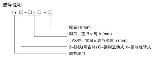 �{�����T