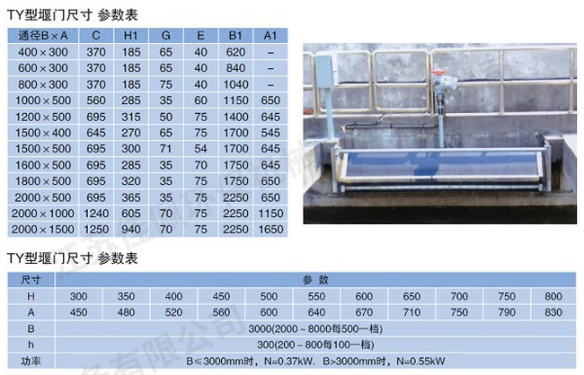 �{�����T